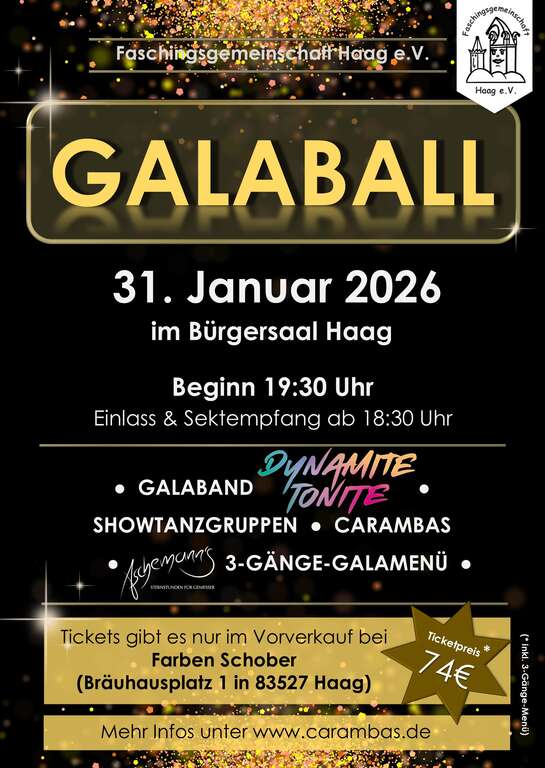 Galaball-Haag-Haag-in-Oberbayern-Buergersaal-Faschingsgemeinschaft-Haag-2026-01-31