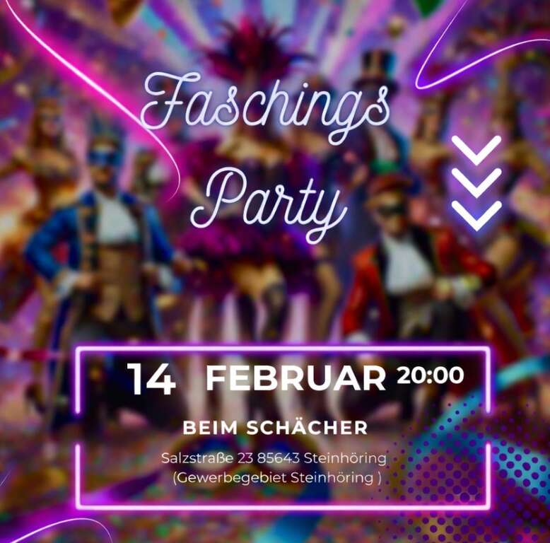 Faschings-Party-Steinhoering-2026-02-14