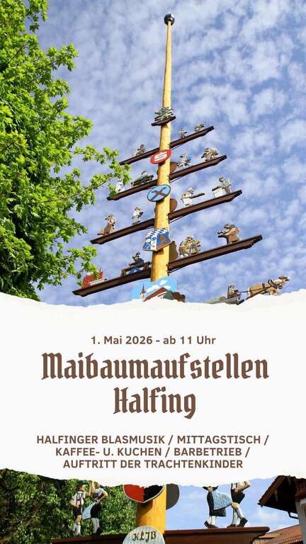 Maibaumaufstellen-Halfing-2026-05-01